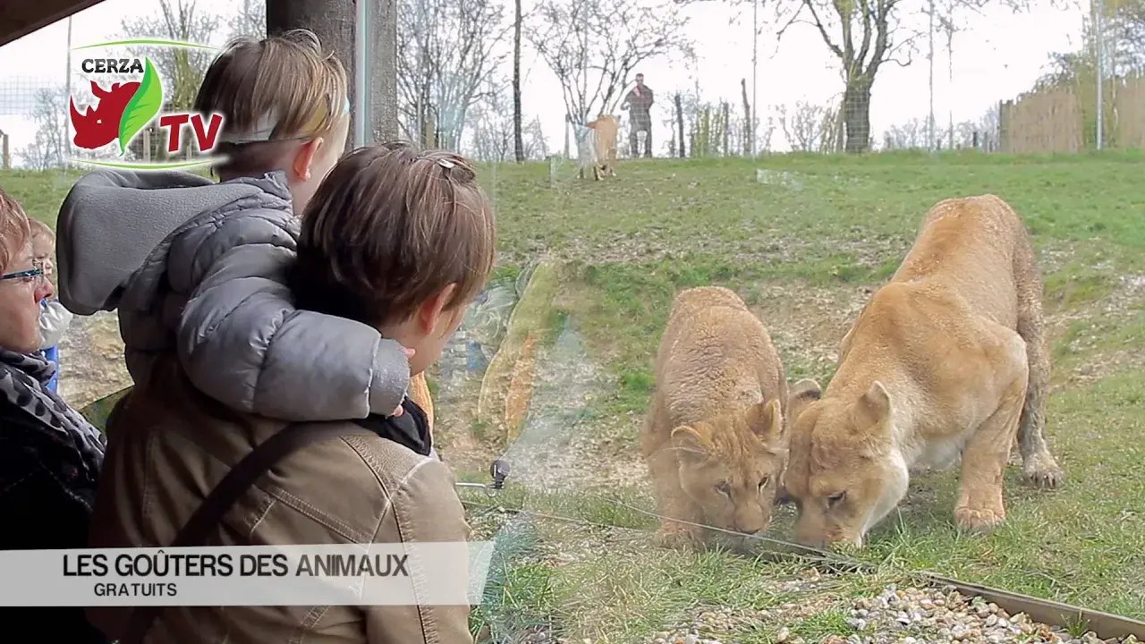 Animaux sauvages observés dans les grands espaces du parc zoologique Cerza